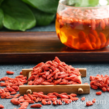 Berry goji organik kering wolfberry pembelian dalam talian